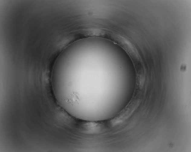 X0000103280326200809051536