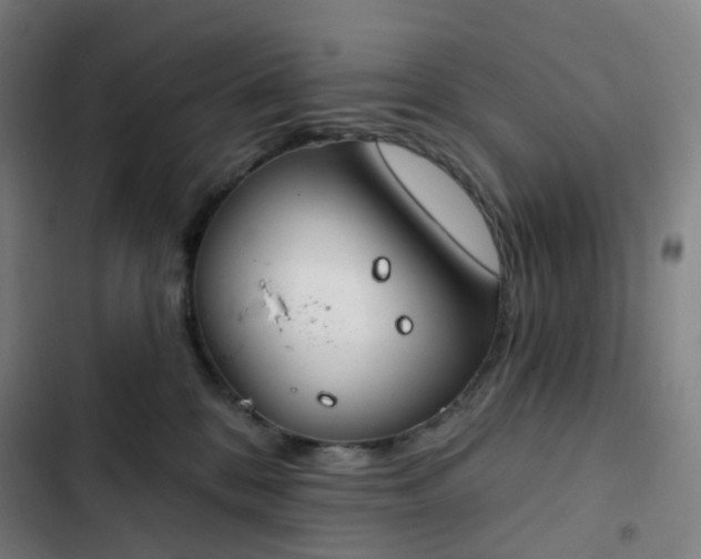 X0000103280328200809051536