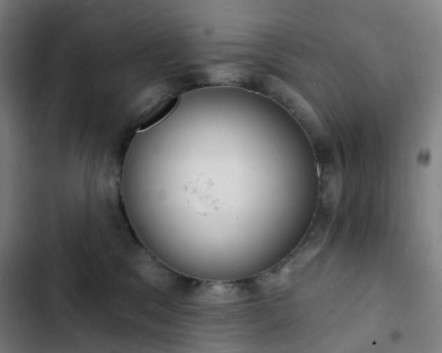 X0000103280329200809051536