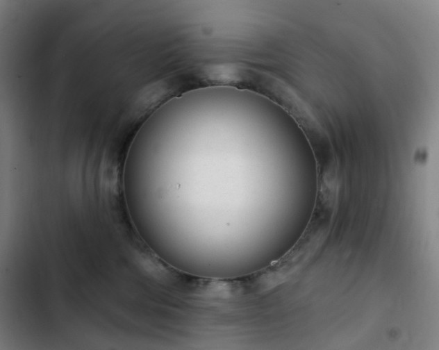 X0000103280330200809051536