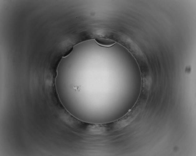 X0000103280331200809051536