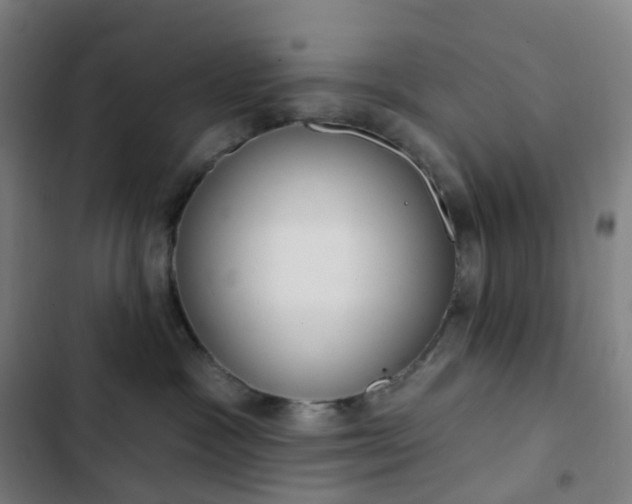 X0000103280333200809051536