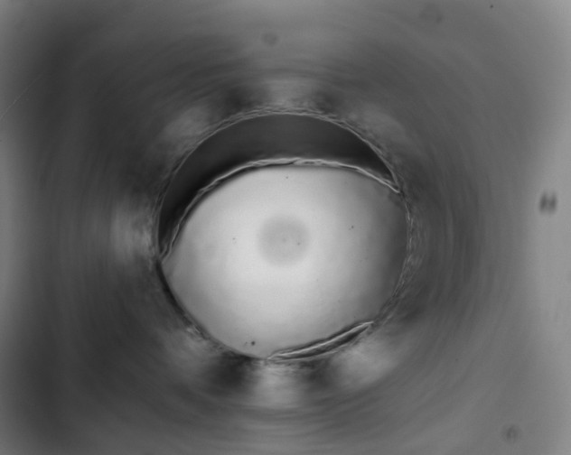 X0000103280336200809051536