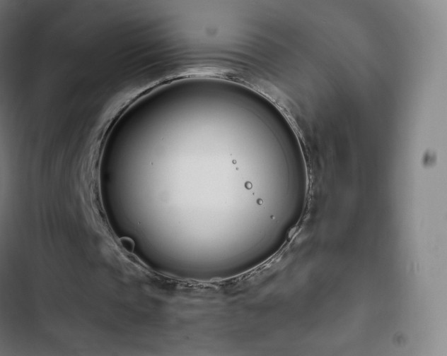 X0000103280337200809051535