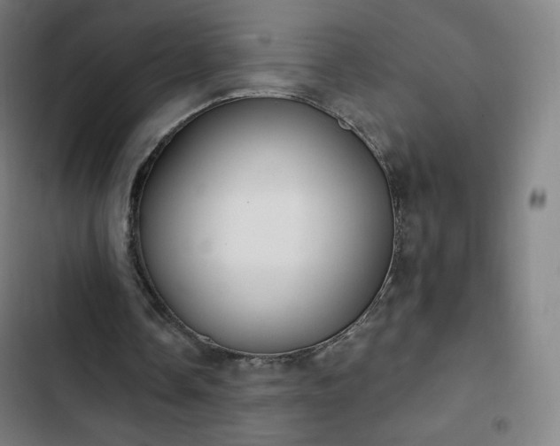 X0000103280338200809051535