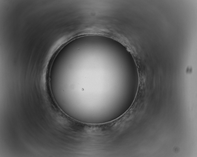 X0000103280340200809051535