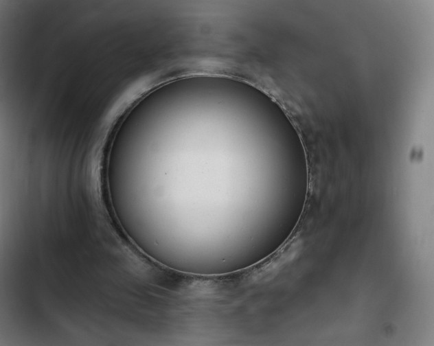 X0000103280341200809051535