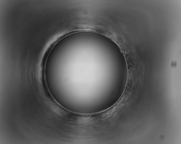 X0000103280342200809051535