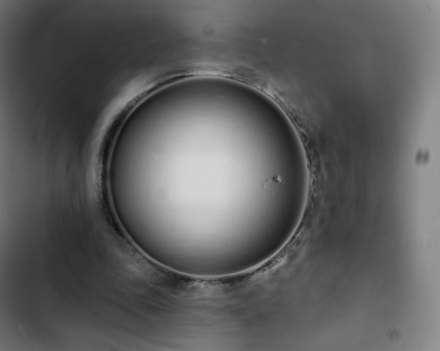 X0000103280343200809051535