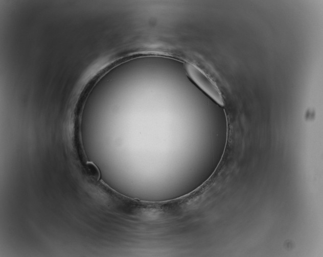 X0000103280344200809051535