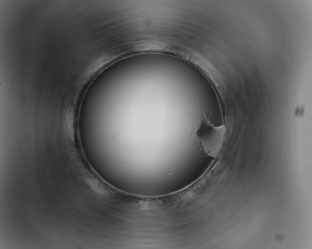 X0000103280345200809051535