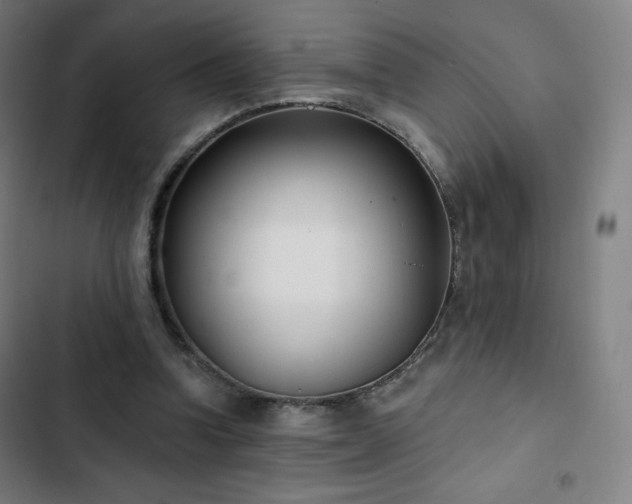 X0000103280346200809051535