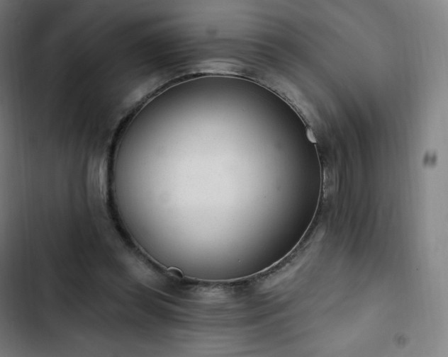 X0000103280349200809051535