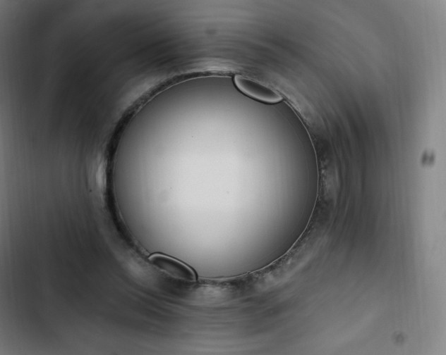 X0000103280350200809051535