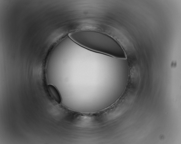 X0000103280352200809051536