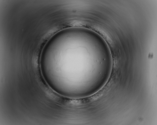 X0000103280353200809051536