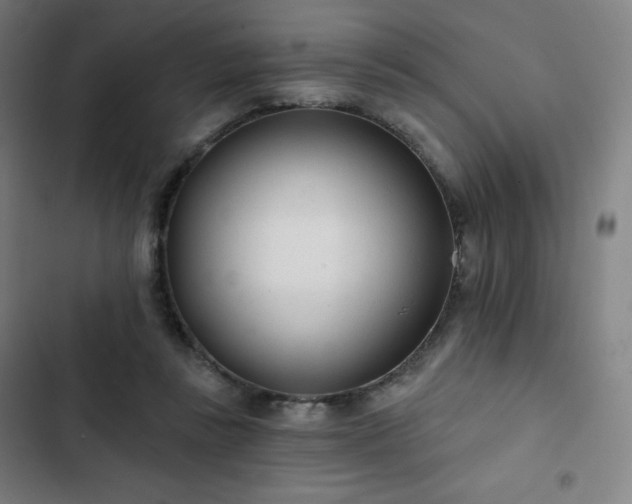 X0000103280355200809051536