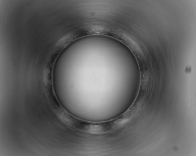 X0000103280361200809051536