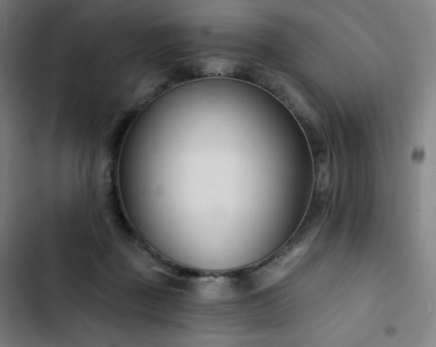 X0000103280363200809051536