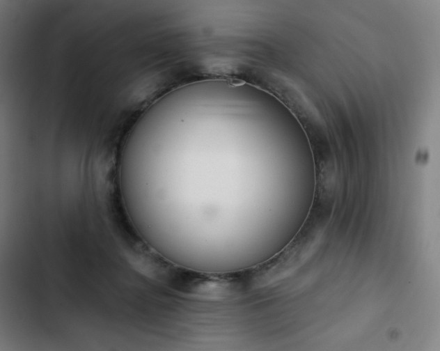 X0000103280364200809051536