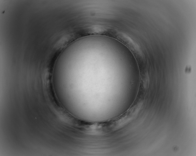 X0000103280366200809051536