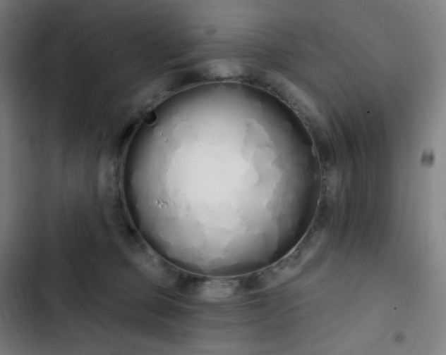 X0000103280373200809051536