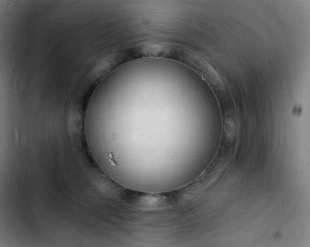 X0000103280375200809051536