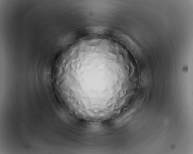 X0000103280377200809051536