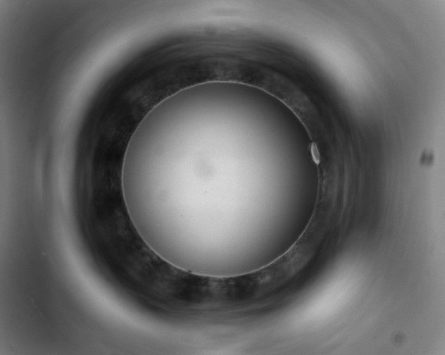 X0000103280383200809051536