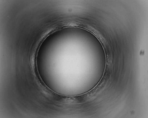 X0000103280386200809051535