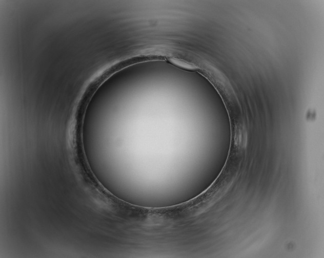 X0000103280388200809051535