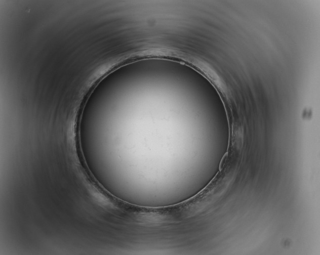 X0000103280389200809051535