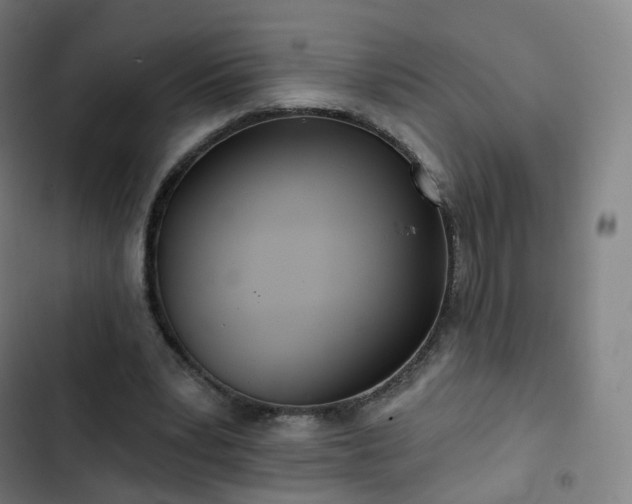 X0000103280391200809051535