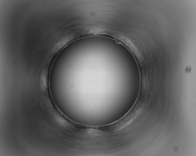 X0000103280393200809051535