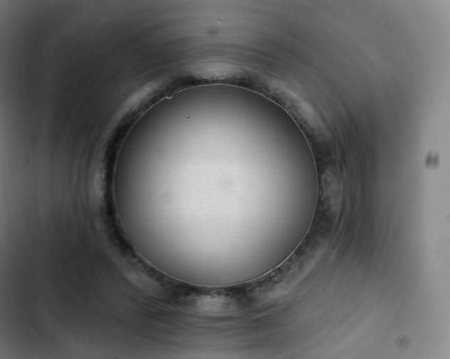 X0000103280400200809051535