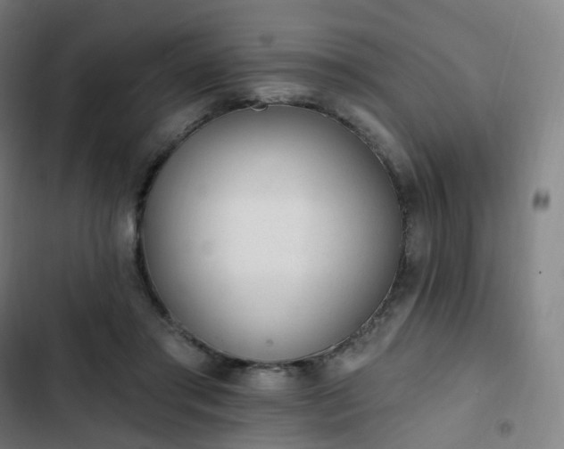 X0000103280405200809051535