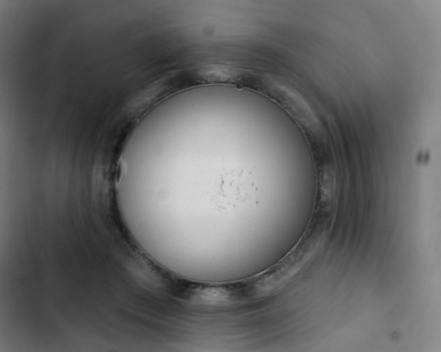 X0000103280409200809051535