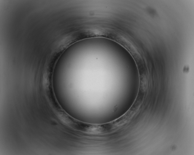 X0000103280410200809051535