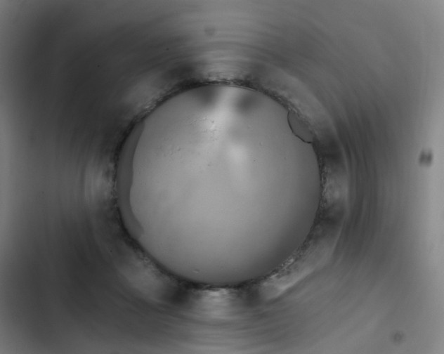 X0000103280411200809051535