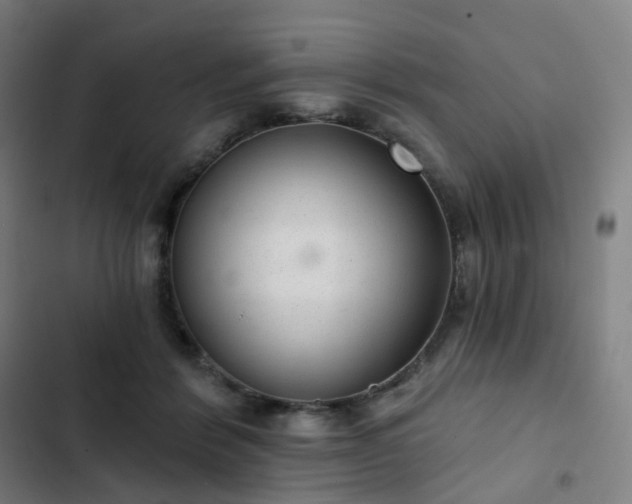 X0000103280412200809051535