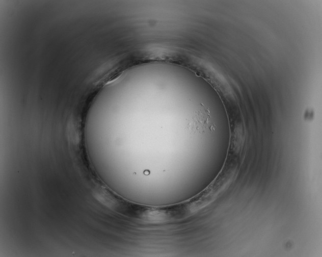 X0000103280413200809051535