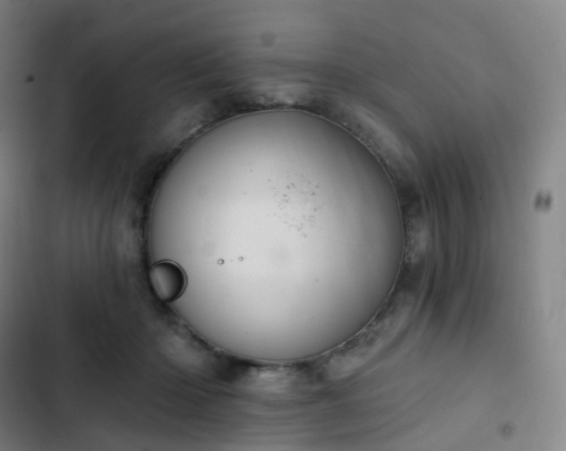 X0000103280414200809051535