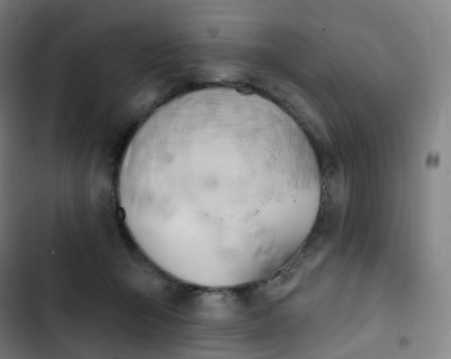 X0000103280415200809051535