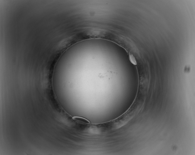 X0000103280416200809051535