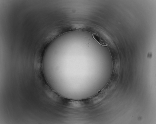 X0000103280417200809051535