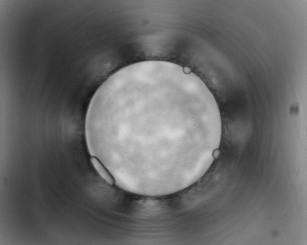 X0000103280419200809051535