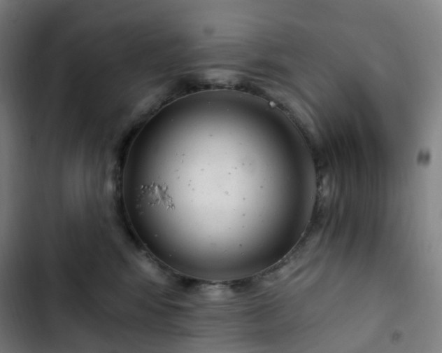 X0000103280424200809051535