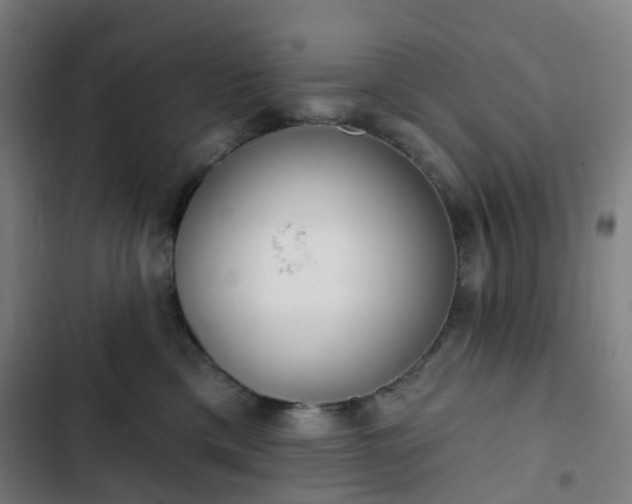 X0000103280425200809051535