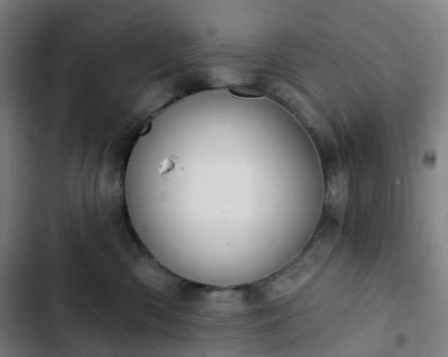 X0000103280426200809051535