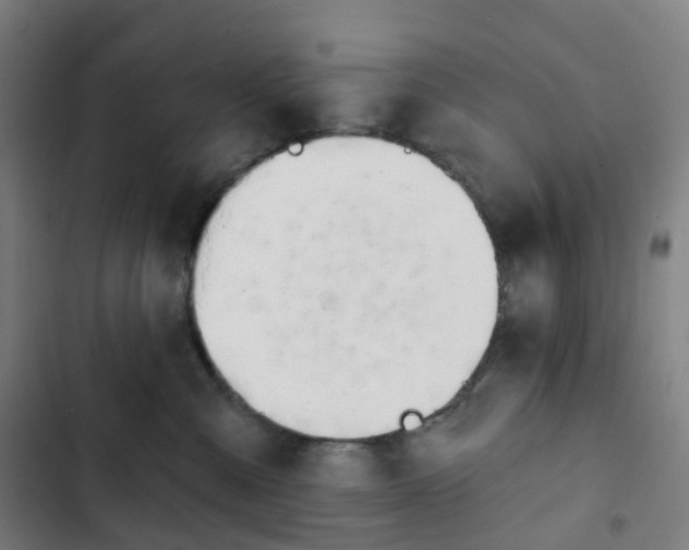 X0000103280427200809051535